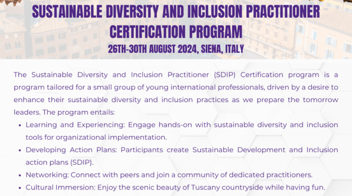 Sustainable Diversity And Inclusion Practitioner Certification Program